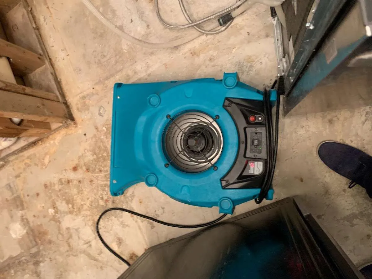 Air mover drying equipment for Mold Remediation & Removal in Lower Saucon